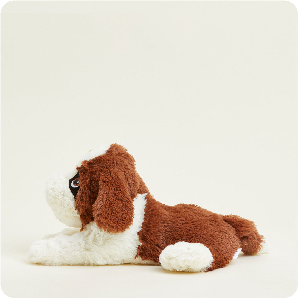 Image 101: Microwavable St. Bernard