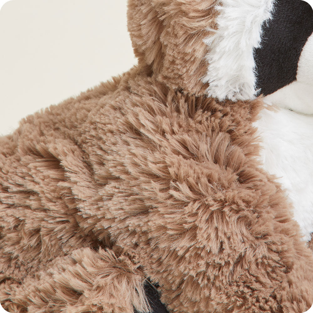 Image 112: Soft Warm Weighted Raccoon Plush Warmies