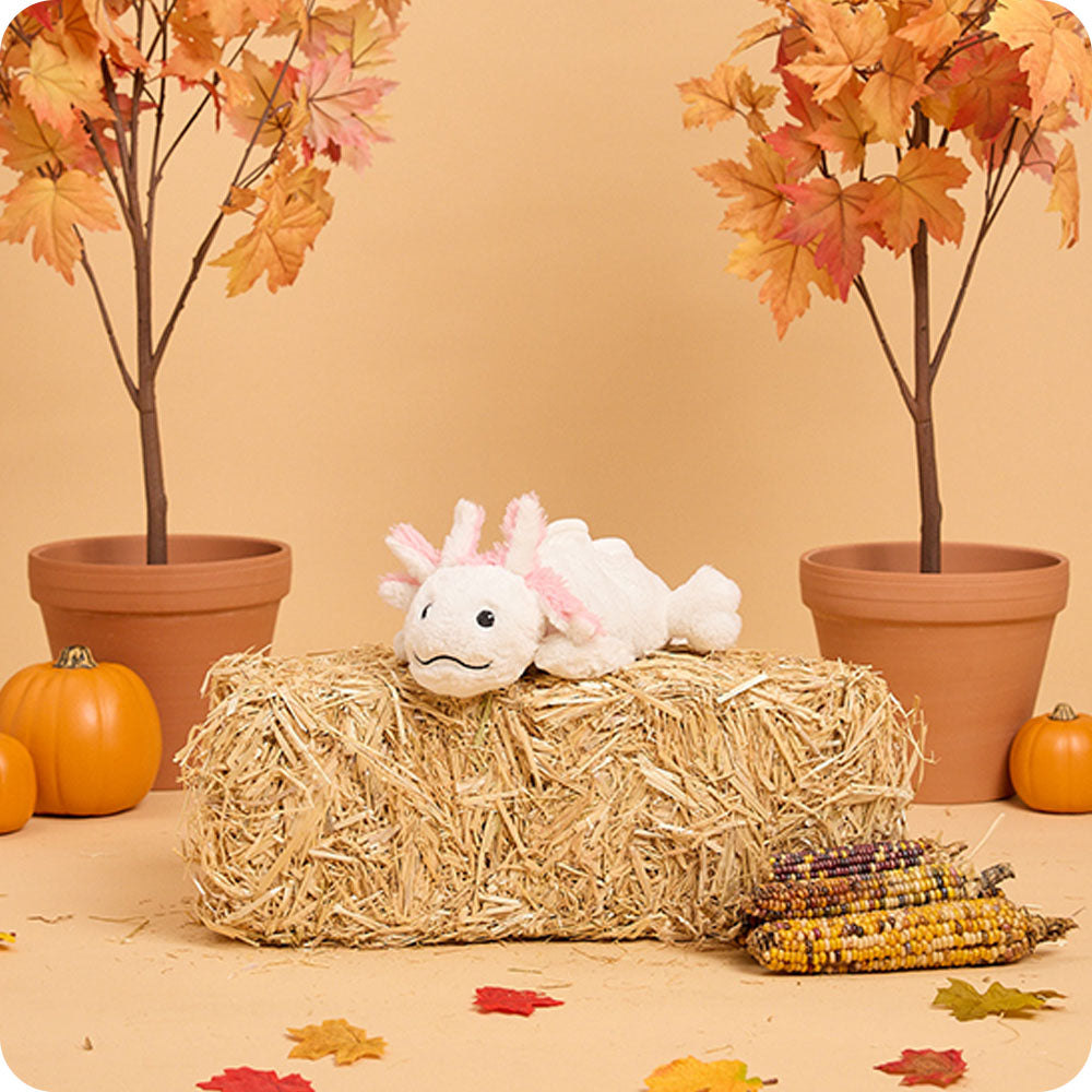 Image 104: white axolotl warmies autumn lifestyle