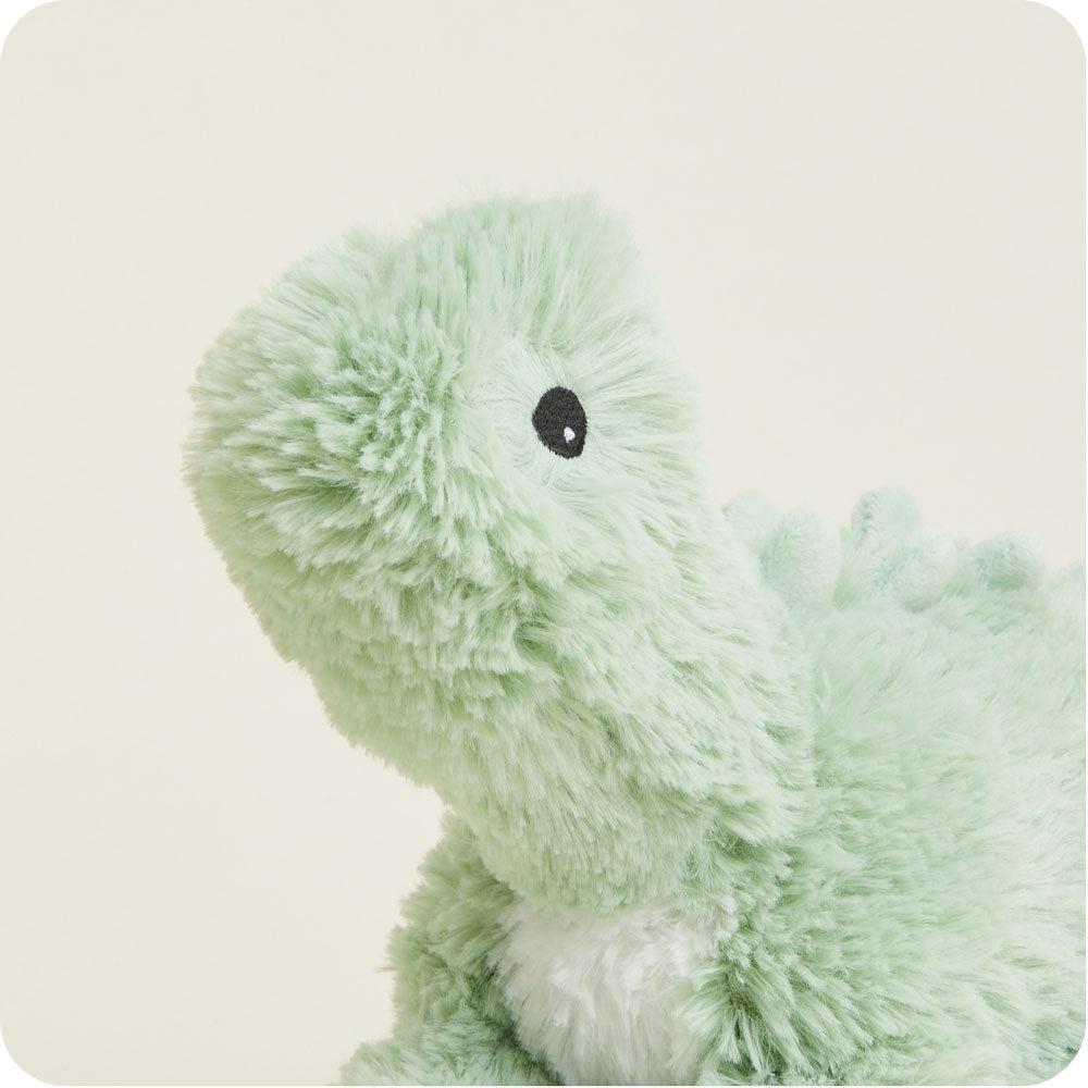 Image 101: Green Long Neck Dinosaur Stuffed Animal Warmies