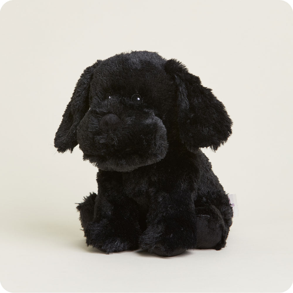 Image 98: Microwavable Black Labrador