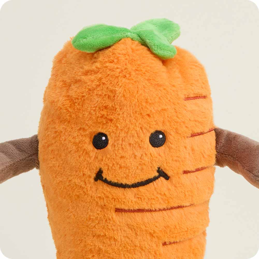 Image 101: Carrot Stuffed Animal Warmies
