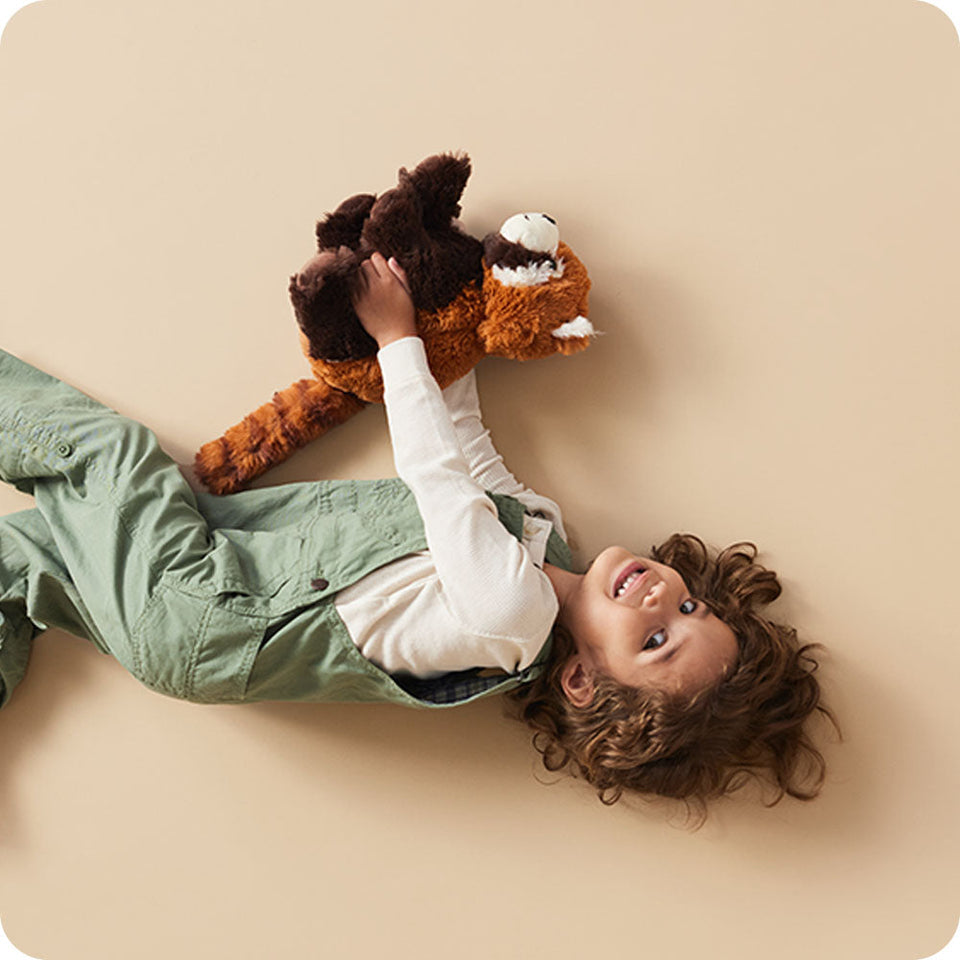 Red Panda - Steady Shelf Snuggle Discovery