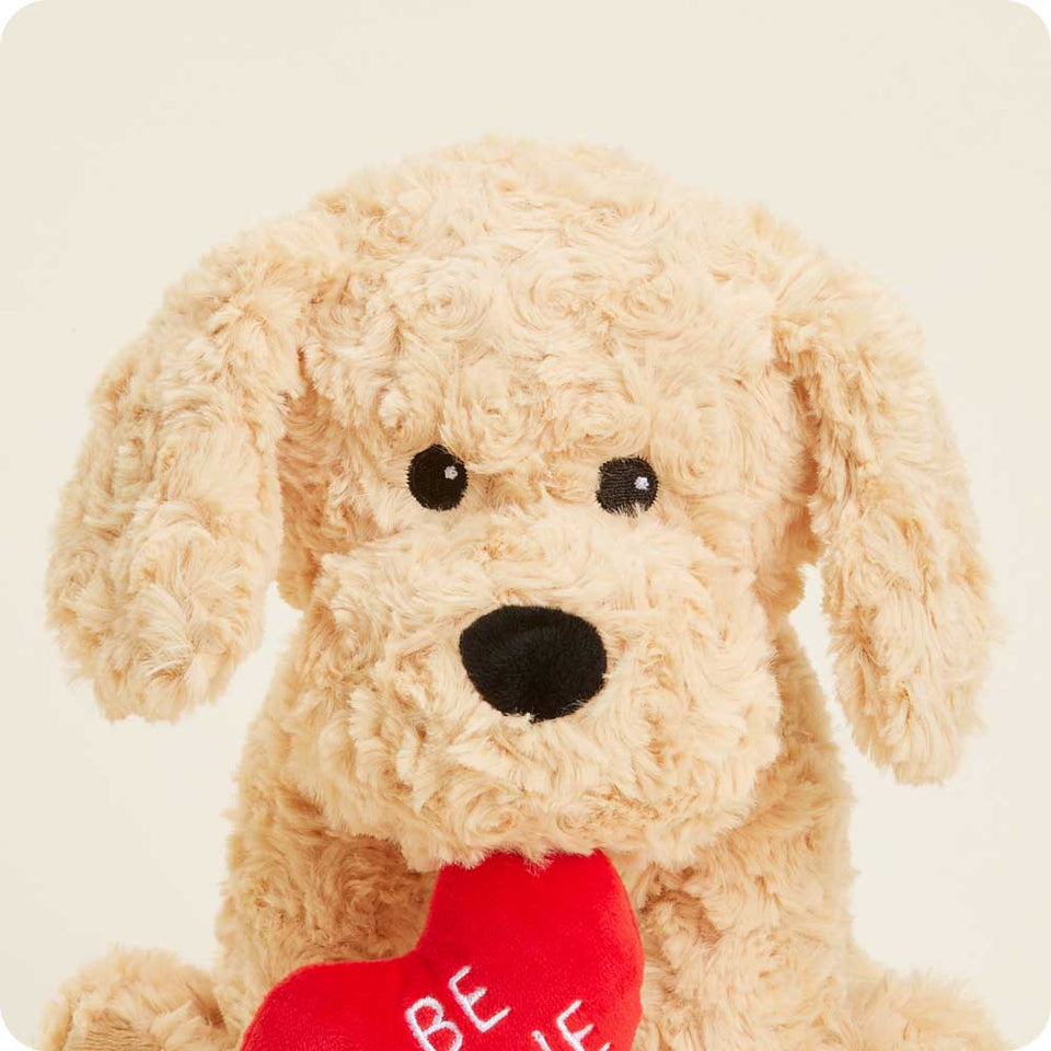 Be Mine Golden Dog - Vivid Market Golden Discovery