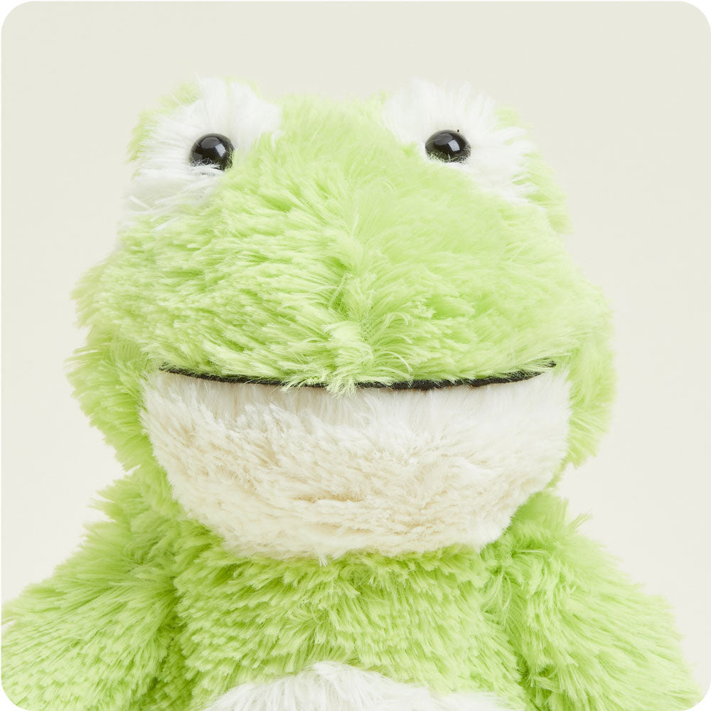 Image 100: Frog Stuffed Animal Warmies