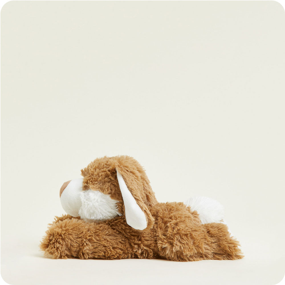 Image 107: Microwavable Brown Bunny