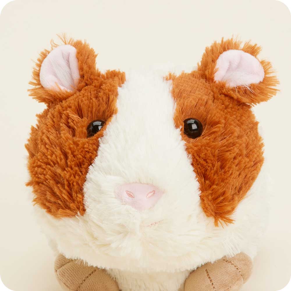 Image 99: Microwavable Guinea Pig