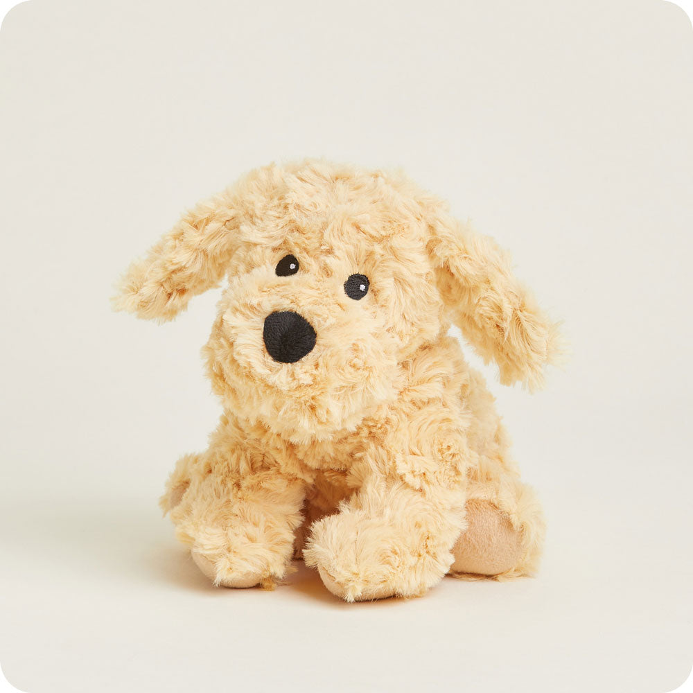 Image 98: Microwavable Golden Dog