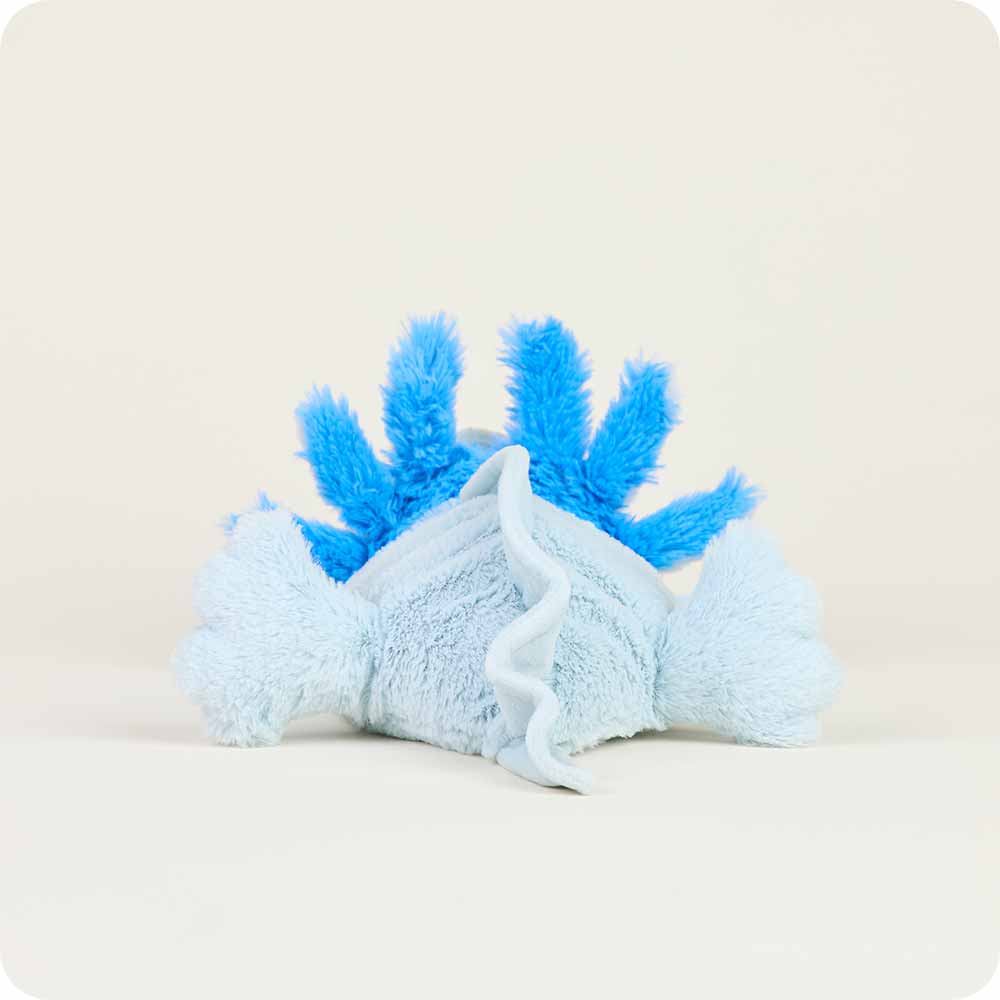 Image 105: Microwavable Blue Axolotl