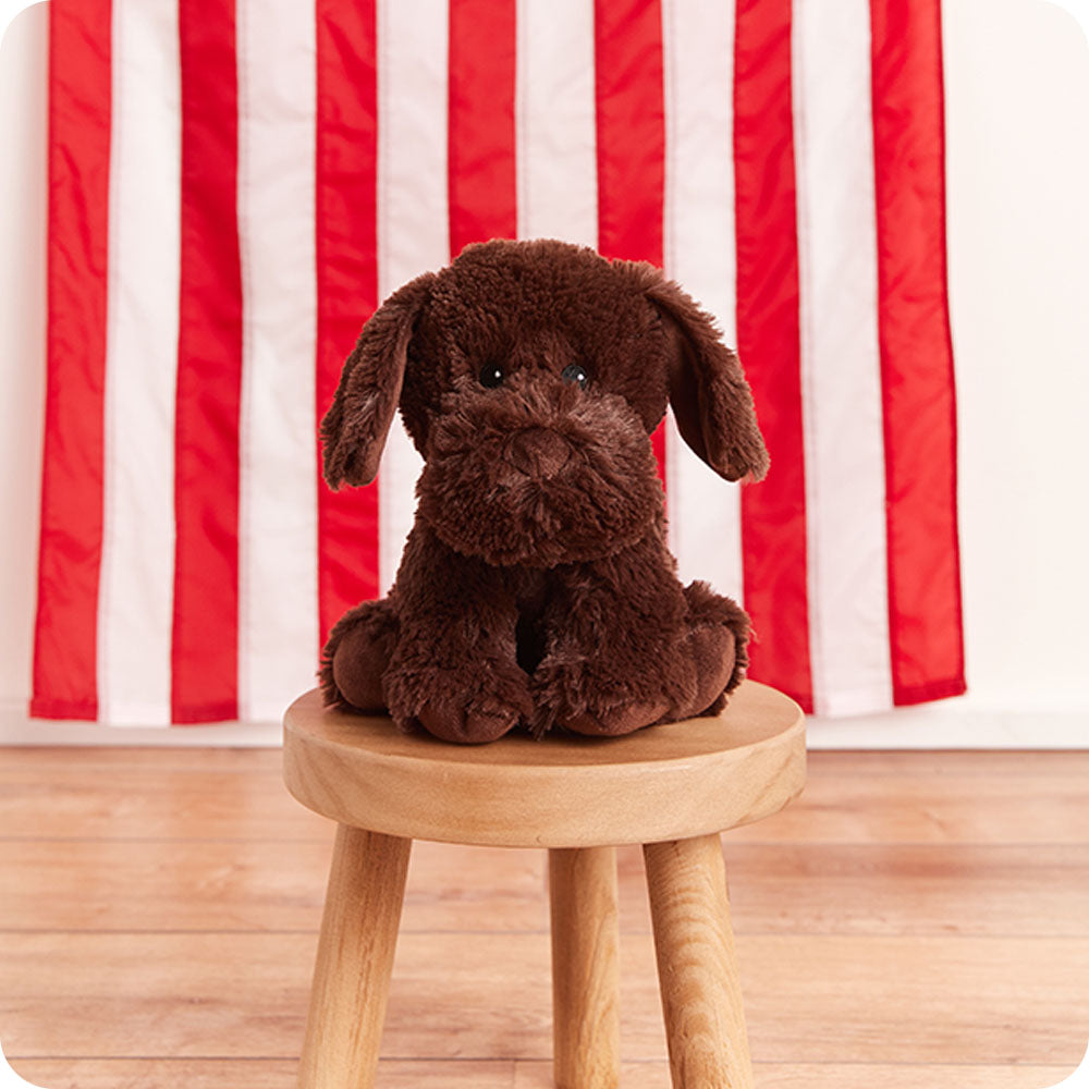 Image 101: chocolate lab stuffed animal with flag in background