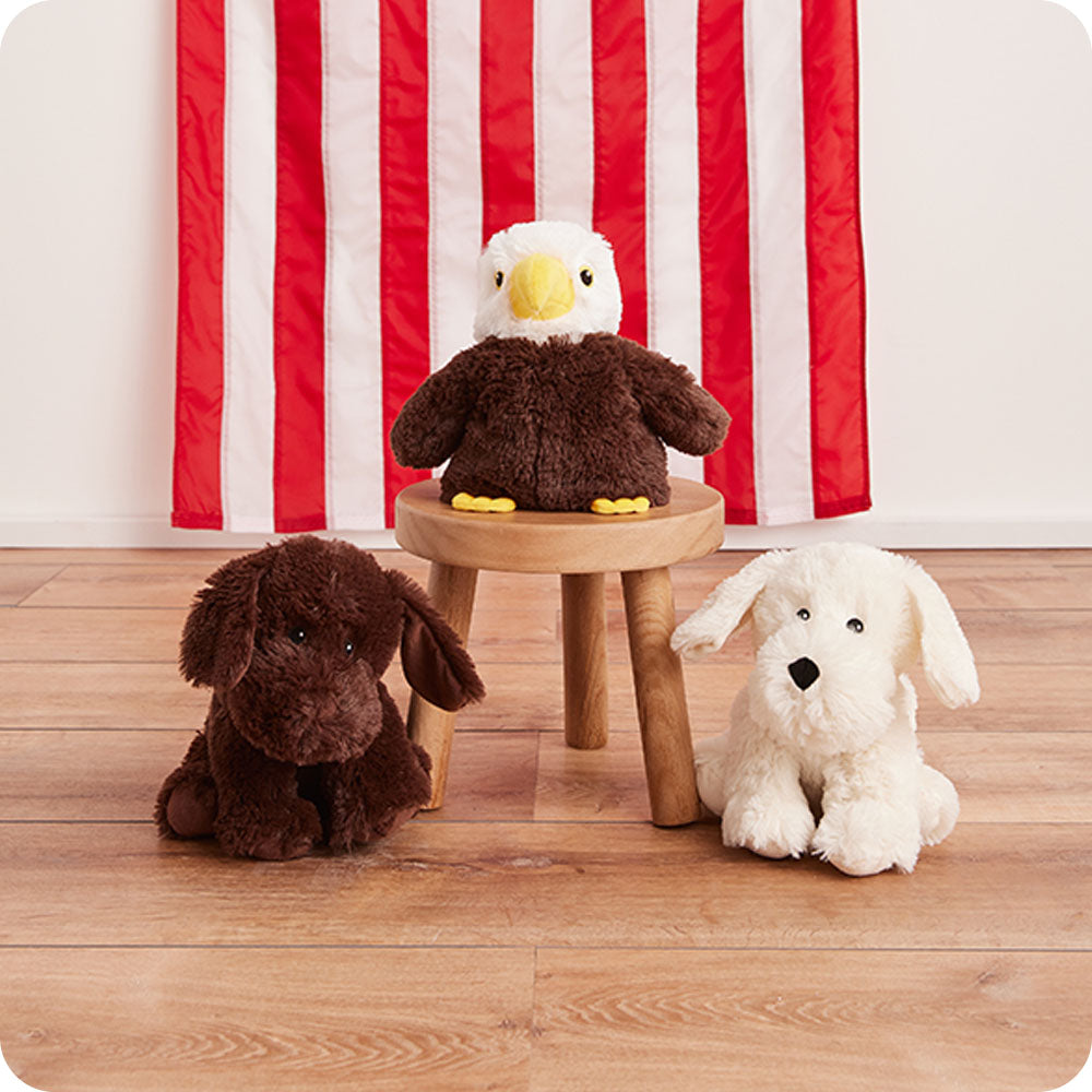 Image 102: warmies chocolate lab stuffed animal with eagle and white dog lifestyle