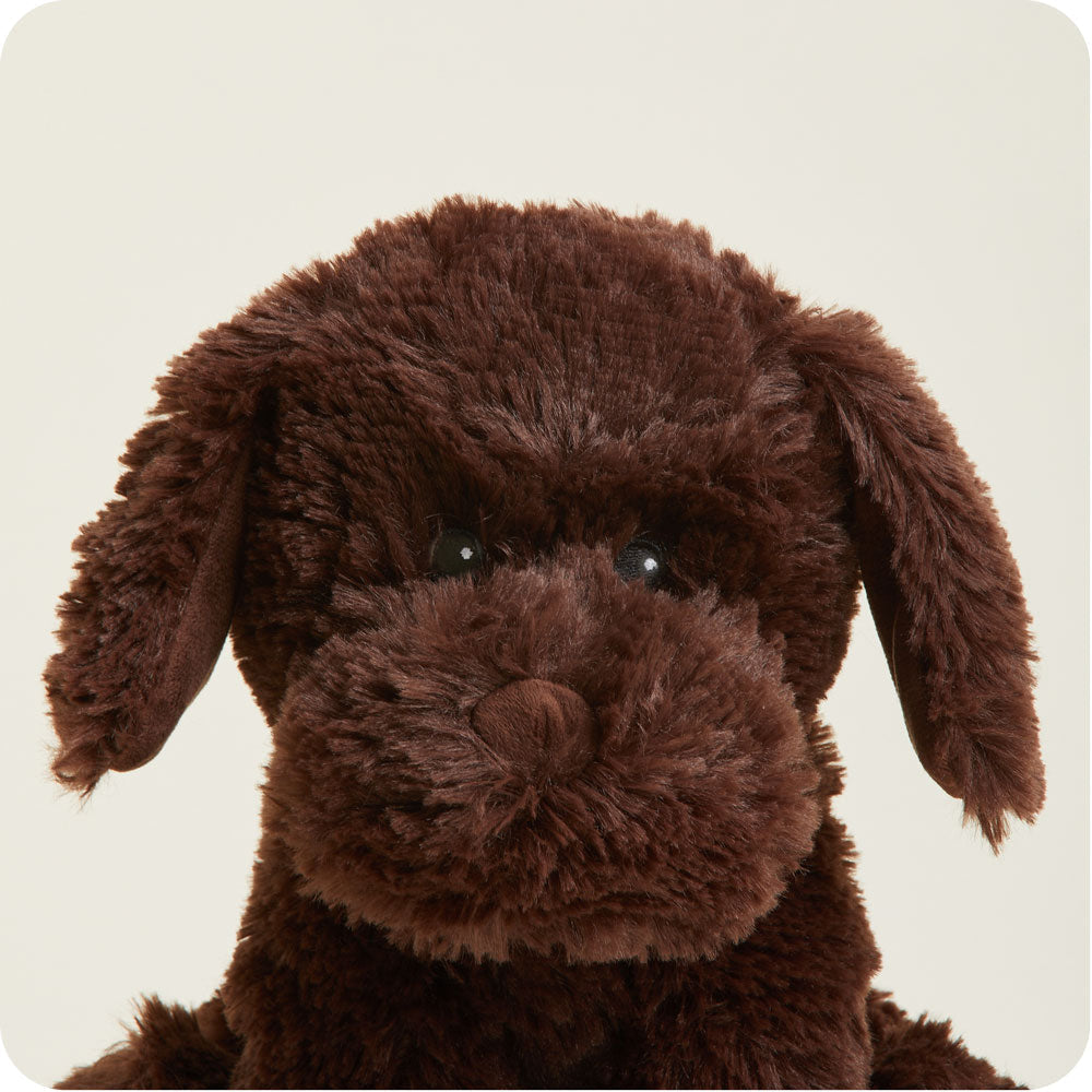 Image 103: Chocolate Labrador Stuffed Animal Warmies