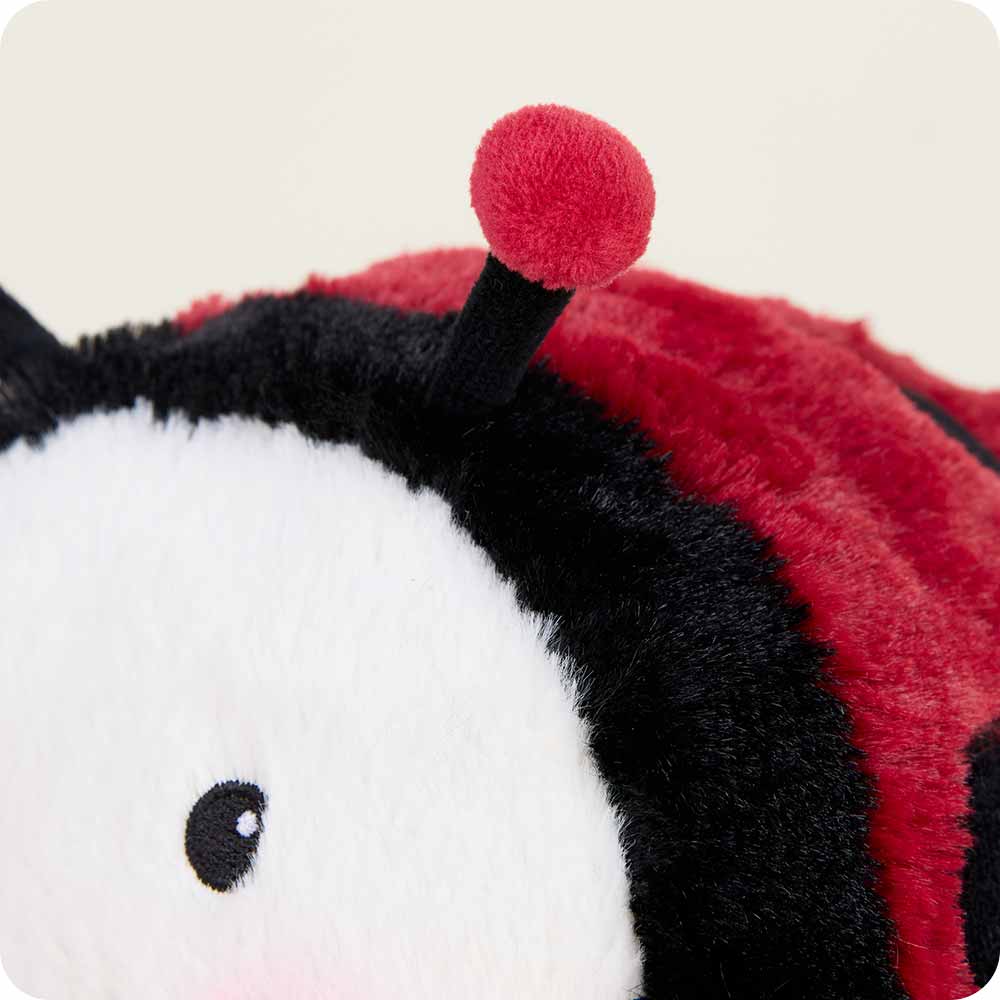 Image 109: Cute Weighted Lavender Scented Ladybug