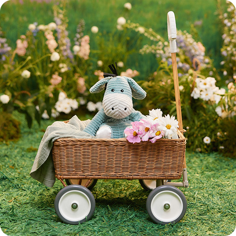 Image 104: my first warmies donkey in picnic basket