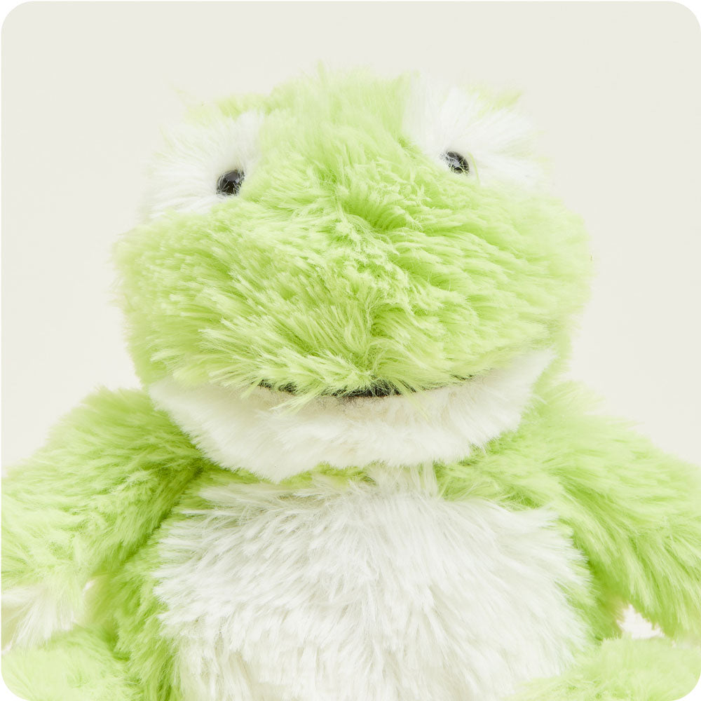 Image 95: Frog Stuffed Animal Warmies Junior